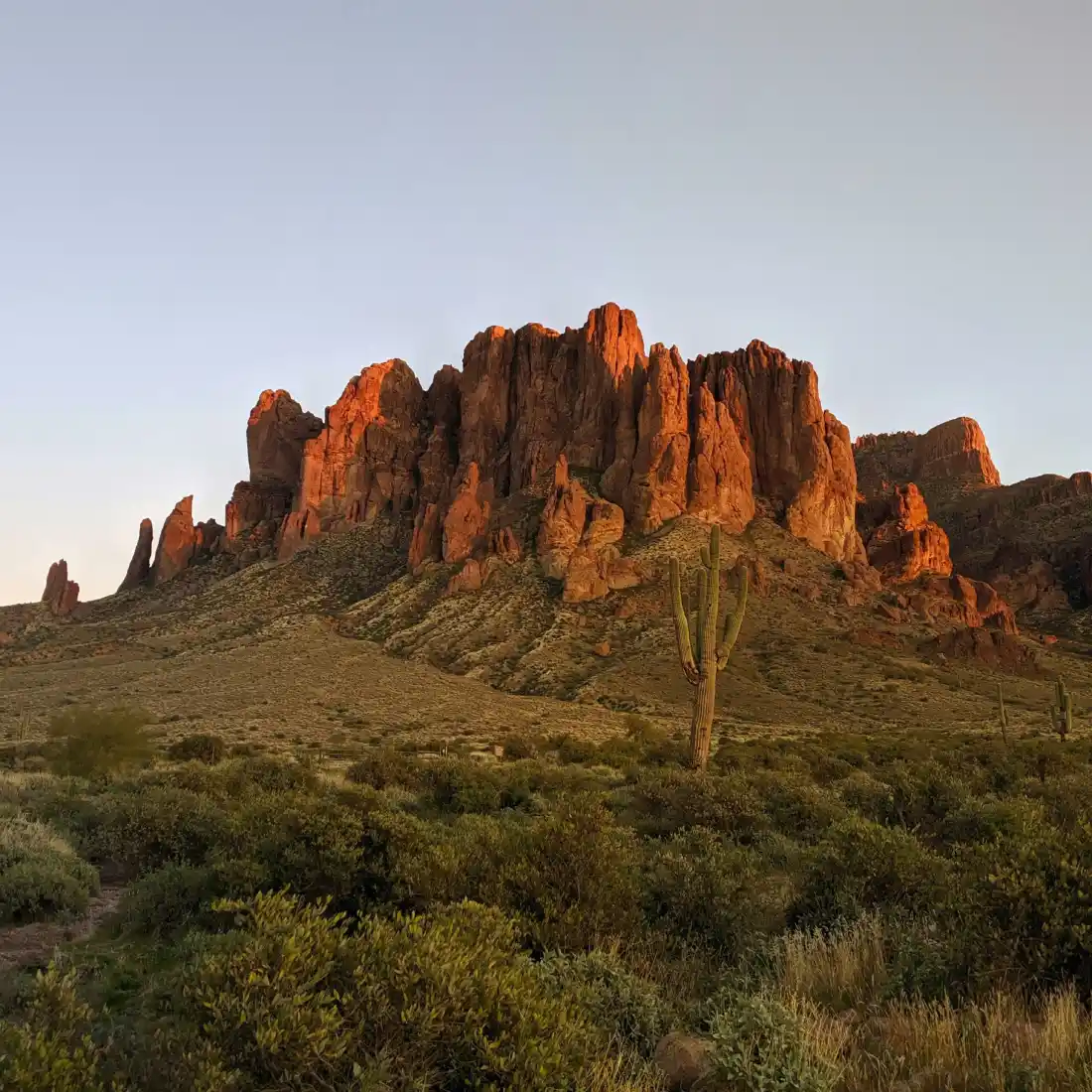 Arizona